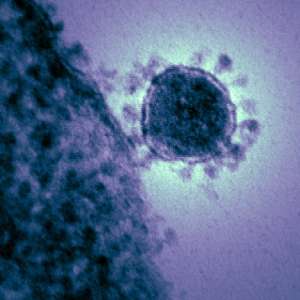 Прикрепление коронавируса к клетке
