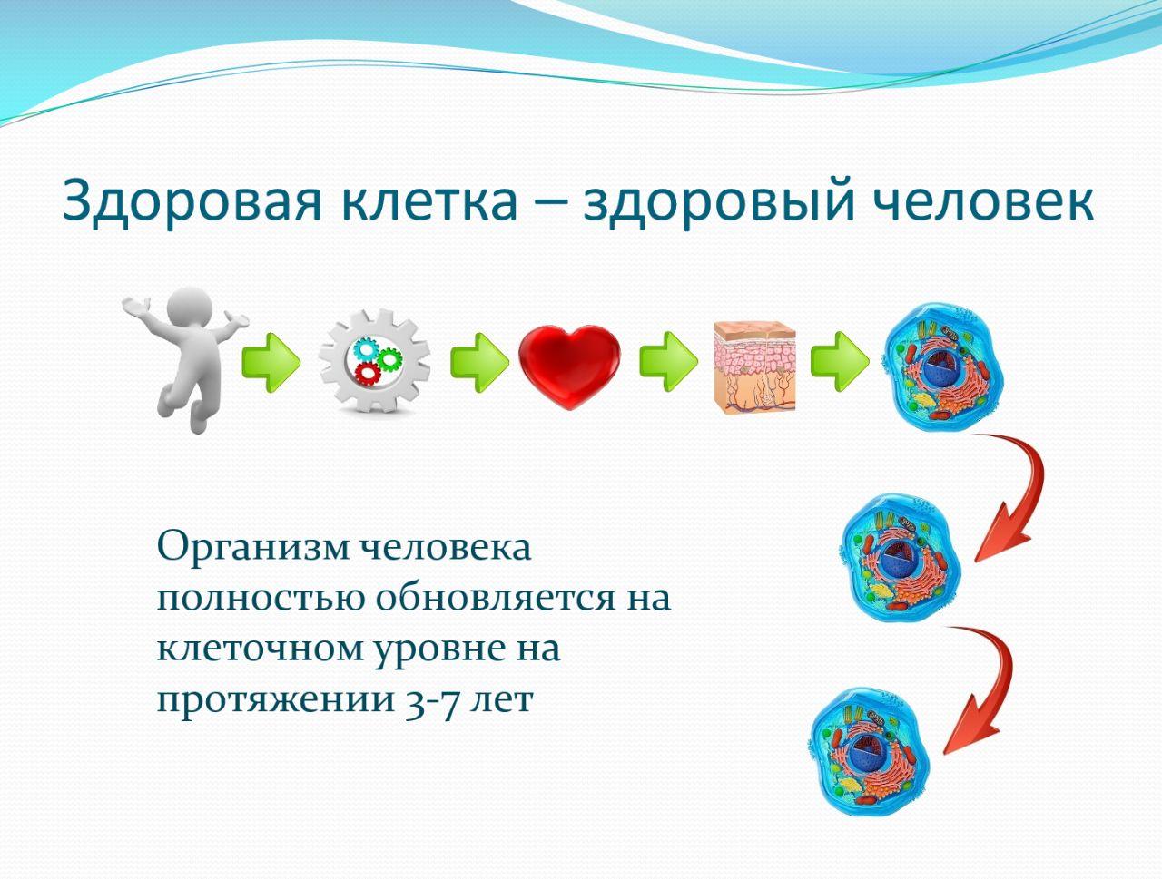 Концепция здоровья. Концепции здоровья и здоровой личности. Концепция здоровья здоровых смысл. Концепция здоровья исторический. Концепция здоровья в весёлых картинках.