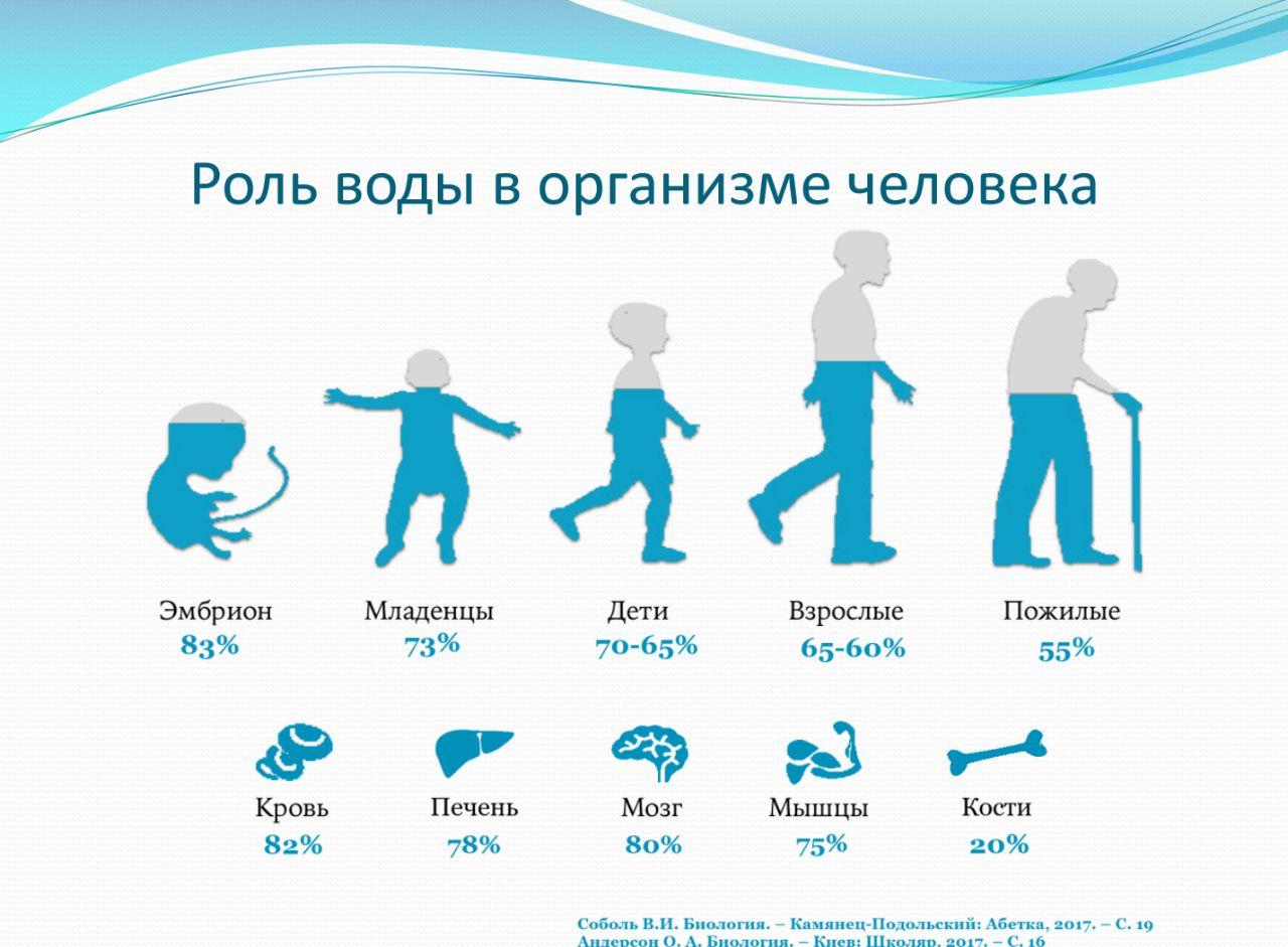Концепция здоровья. Концепция здоровья защита организма. Концепция здоровья – принцип возобновляемости клеток организма. Пять шагов концепция здоровья.